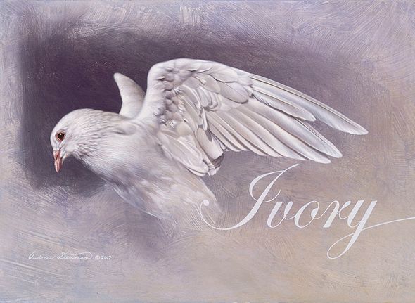Andrew Denman Hand Signed and Numbered Limited Edition Gallery Wrap Canvas Giclee:"Ivory"