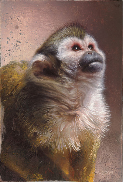 Andrew Denman Hand Signed and Numbered Limited Edition Gallery Wrap Giclee Canvas :"Keep Searching, Winkie"