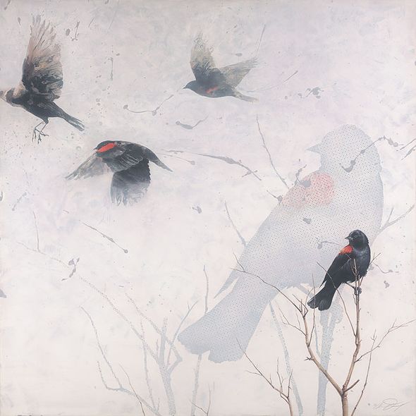 Andrew Denman Hand-signed and Numbered Limited Edition Gallery Wrapped Canvas Giclee :"Staccato"