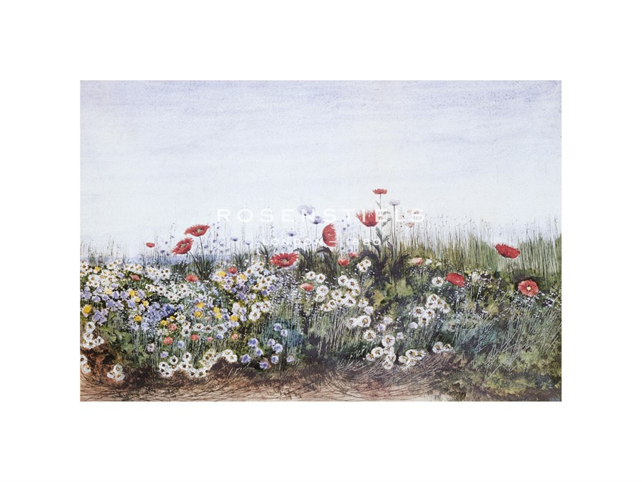 Andrew Nicholl Hand Numbered Limited Edition Print on Paper :"Hedgerow I"