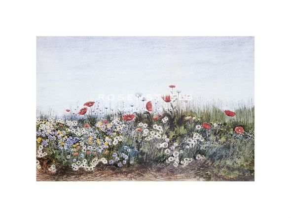 Andrew Nicholl Hand Numbered Limited Edition Print on Paper :"Hedgerow I"