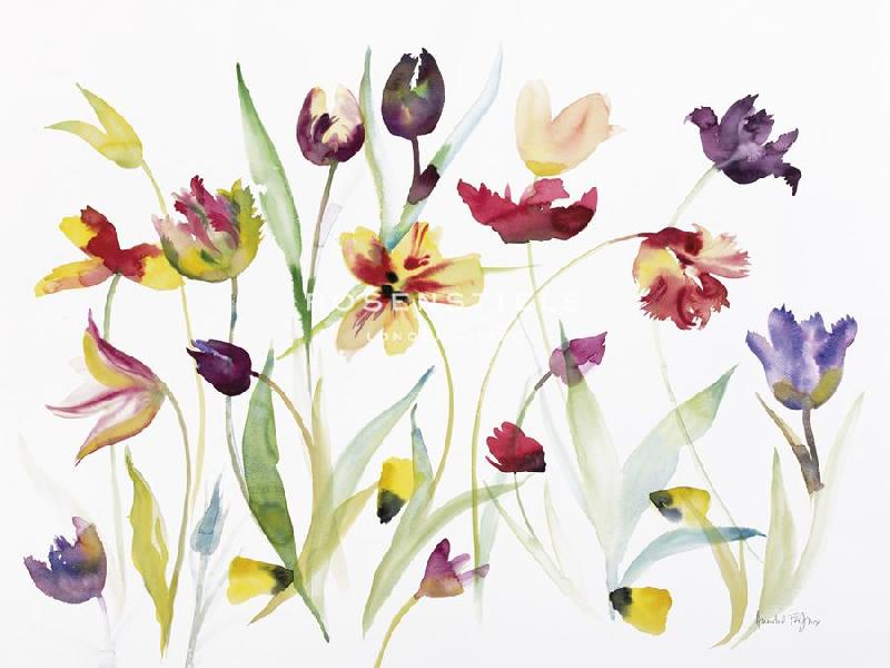 Annabel Fairfax 40 x 30 in. Open Giclee Canvas:"Bright Blooms - Bliss"