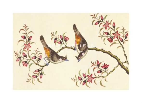 Anonymous Hand Numbered Limited Edition Print on Paper :"Birds And Flowers On Branch"