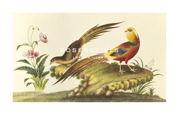 Anonymous Hand Numbered Limited Edition Print on Paper :"Pheasants"