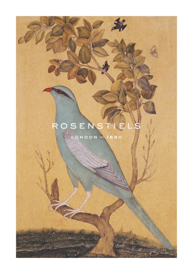 Anonymous Hand Numbered Limited Edition Print on Paper :"Resplendant"