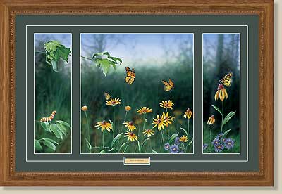 Anthony J. Padgett Handsigned and Numbered Framed Limited Edition:"Flight of a Monarch Triptych"