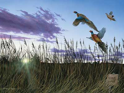 Anthony J. Padgett Handsigned and Numbered Limited Edition Print:"Morning Glory-Pheasants"