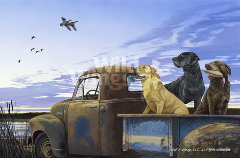 Anthony Padgett Original Acrylic Painting: "Full Load-Labrador Retrievers"