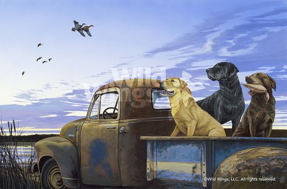Anthony Padgett Original Acrylic Painting: "Full Load-Labrador Retrievers"