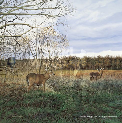 Anthony Padgett Original Acrylic Painting: "Take Out-Whtetail Deer" Anthony Padgett Original Acrylic Painting: "Take Out-Whtetail Deer"