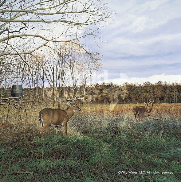 Anthony Padgett Original Acrylic Painting: "Take Out-Whtetail Deer"