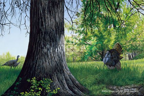 Anthony Padgett Original Acrylic Painting: "Wild Turkeys" Anthony Padgett Original Acrylic Painting: "Wild Turkeys"