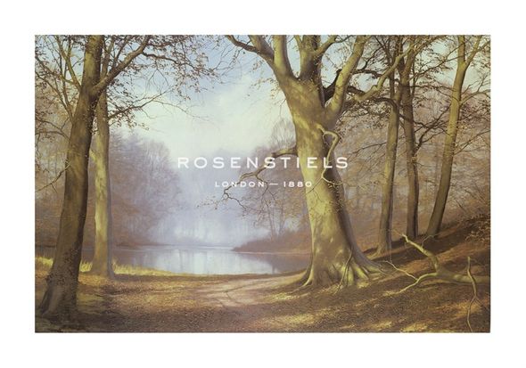 Anthony Sheath Hand Numbered Limited Edition Print on Paper :"Copper Beech Wood"