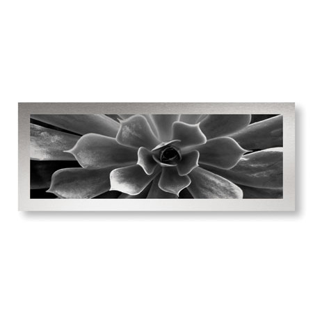 Anthony Tahlier Limited Edition Ready to Hang Giclee on Brushed Aluminum: "Stillness I"