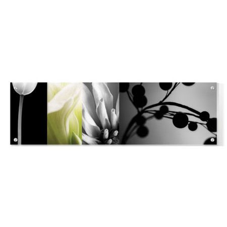 Anthony Tahlier Limited Edition Ready to Hang Giclee on Clear Acrylic: "Fusion 1"