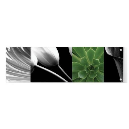Anthony Tahlier Limited Edition Ready to Hang Giclee on Clear Acrylic: "Fusion II"