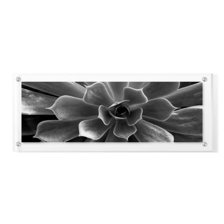 Anthony Tahlier Limited Edition Ready to Hang Giclee on Clear Acrylic: "Stillness I"