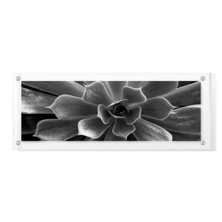 Anthony Tahlier Limited Edition Ready to Hang Giclee on Clear Acrylic: "Stillness I"