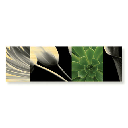 Anthony Tahlier Limited Edition Ready to Hang Giclee on Sustainable Bamboo: "Fusion II"