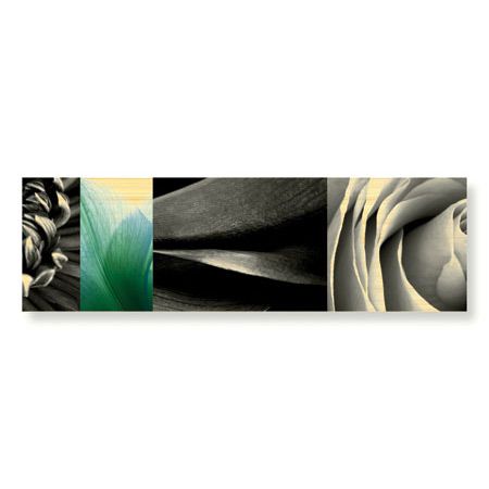 Anthony Tahlier Limited Edition Ready to Hang Giclee on Sustainable Bamboo: "Fusion III"