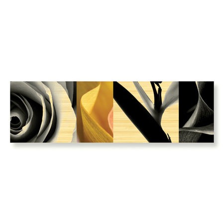 Anthony Tahlier Limited Edition Ready to Hang Giclee on Sustainable Bamboo: "Fusion IV"