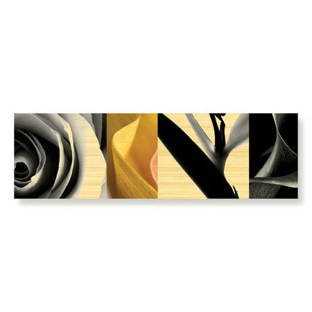 Anthony Tahlier Limited Edition Ready to Hang Giclee on Sustainable Bamboo: "Fusion IV"