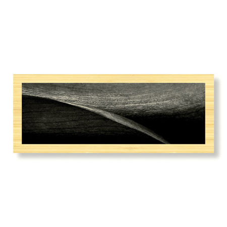 Anthony Tahlier Limited Edition Ready to Hang Giclee on Sustainable Bamboo: "Stillness IV"