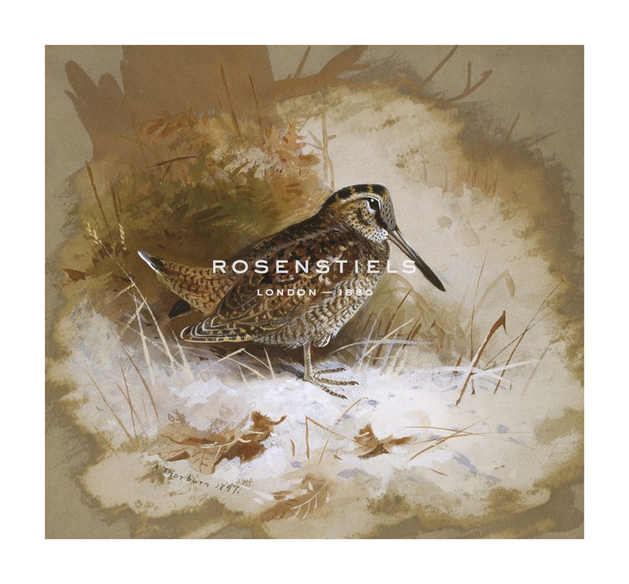 Archibald Thorburn Hand Numbered Limited Edition Print on Paper :"A Woodcock"