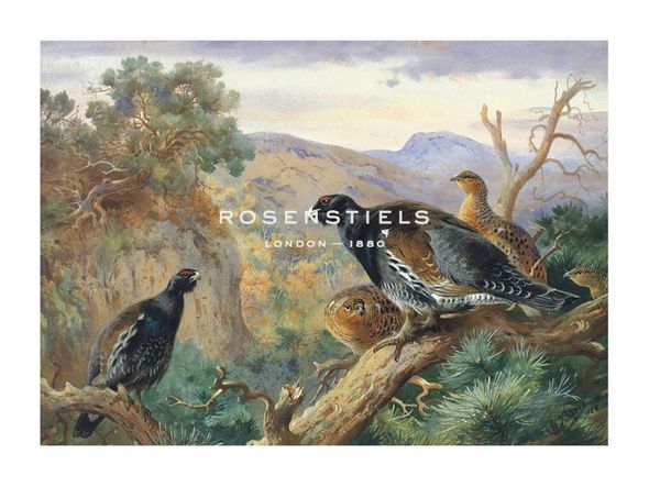 Archibald Thorburn Hand Numbered Limited Edition Print on Paper :"Capercaillie"
