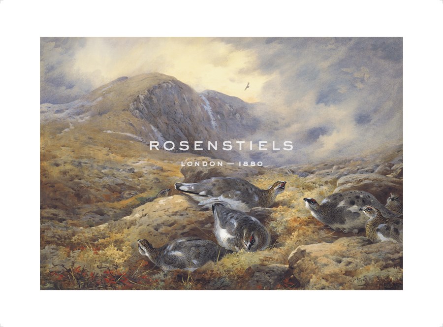 Archibald Thorburn Hand Numbered Limited Edition Print on Paper :"Danger Aloft"