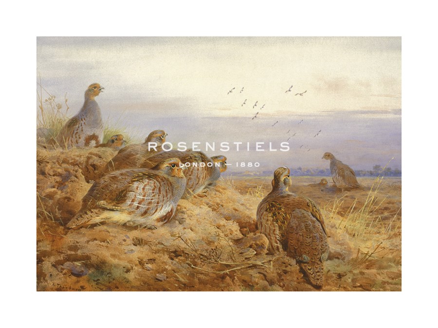 Archibald Thorburn Hand Numbered Limited Edition Print on Paper :"English Partridges"