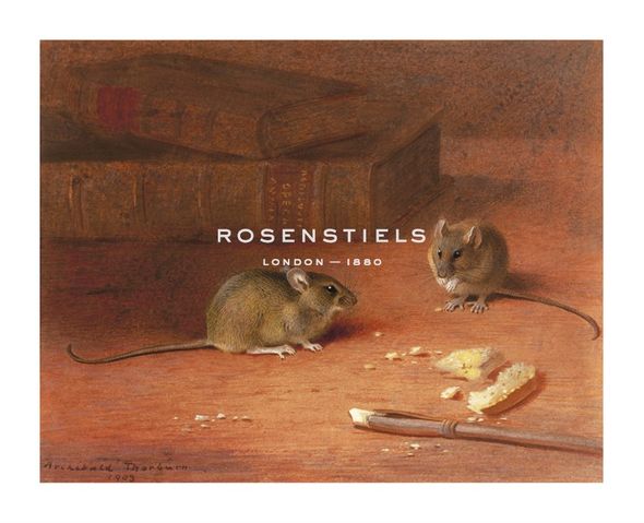 Archibald Thorburn Hand Numbered Limited Edition Print on Paper :"Hungry Mice"