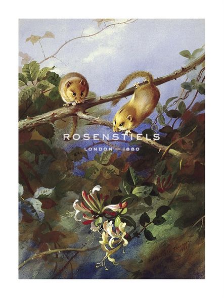 Archibald Thorburn Hand Numbered Limited Edition Print on Paper :"Mice and Honeysuckle"