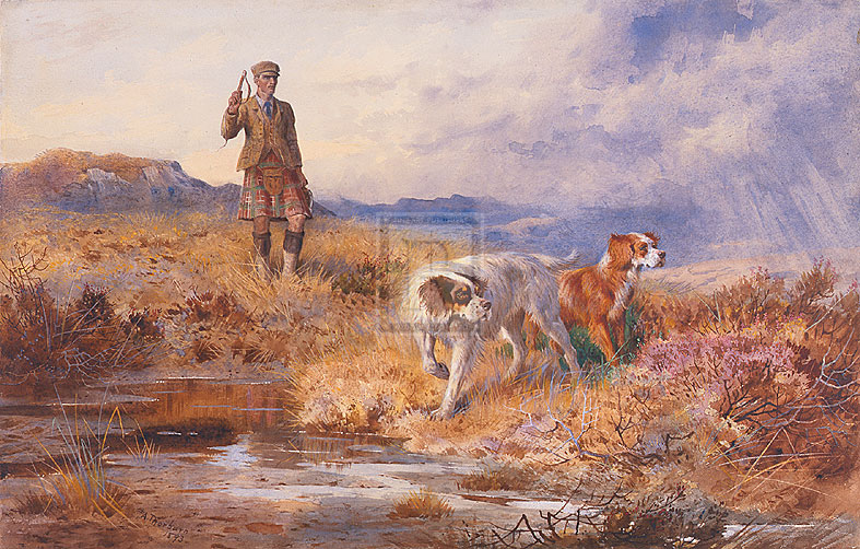 Archibald Thorburn Hand Numbered Limited Edition Print on Paper :"One Man and His Dogs"