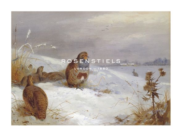 Archibald Thorburn Hand Numbered Limited Edition Print on Paper :"Partridges and Hare"