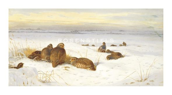 Archibald Thorburn Hand Numbered Limited Edition Print on Paper :"Partridges in a Winter Landscape"