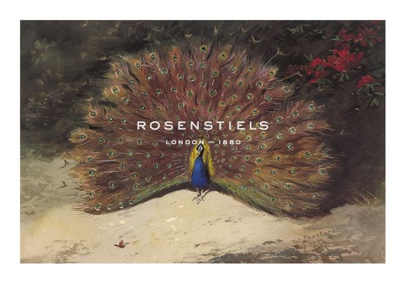 Archibald Thorburn Hand Numbered Limited Edition Print on Paper :"Peacock"