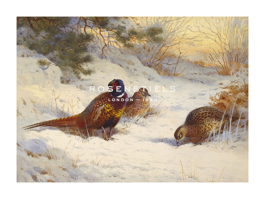 Archibald Thorburn Hand Numbered Limited Edition Print on Paper :"Pheasant and Two Hens"