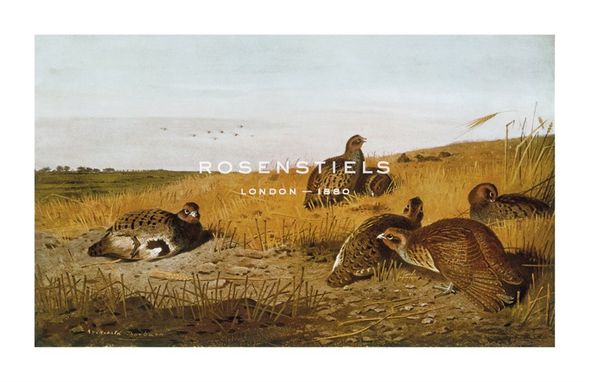 Archibald Thorburn Hand Numbered Limited Edition Print on Paper :"Pheasants"
