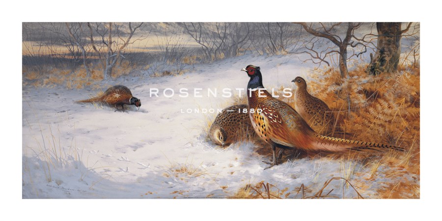 Archibald Thorburn Hand Numbered Limited Edition Print on Paper :"Pheasants and Hens in Snow"