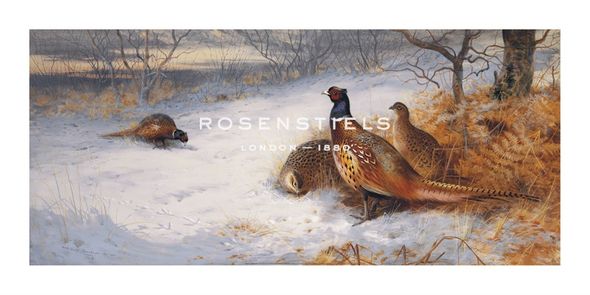 Archibald Thorburn Hand Numbered Limited Edition Print on Paper :"Pheasants and Hens in Snow"