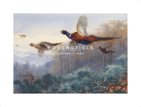 Archibald Thorburn Hand Numbered Limited Edition Print on Paper :"Pheasants in Flight"