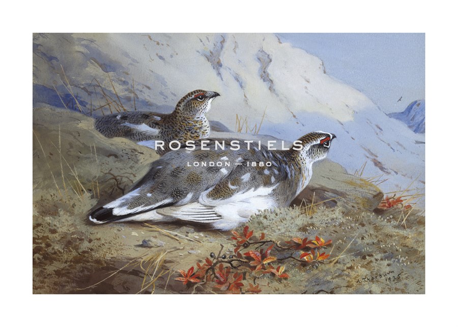 Archibald Thorburn Hand Numbered Limited Edition Print on Paper :"Ptarmigan in Summer Foliage"