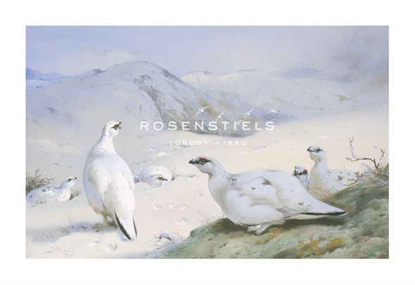 Archibald Thorburn Hand Numbered Limited Edition Print on Paper :"Ptarmigan in Winter"