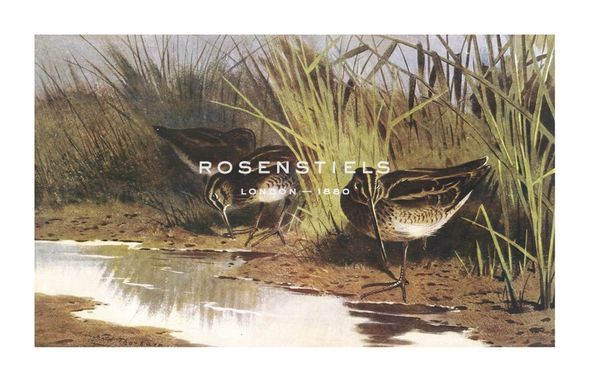 Archibald Thorburn Hand Numbered Limited Edition Print on Paper :"Snipe"