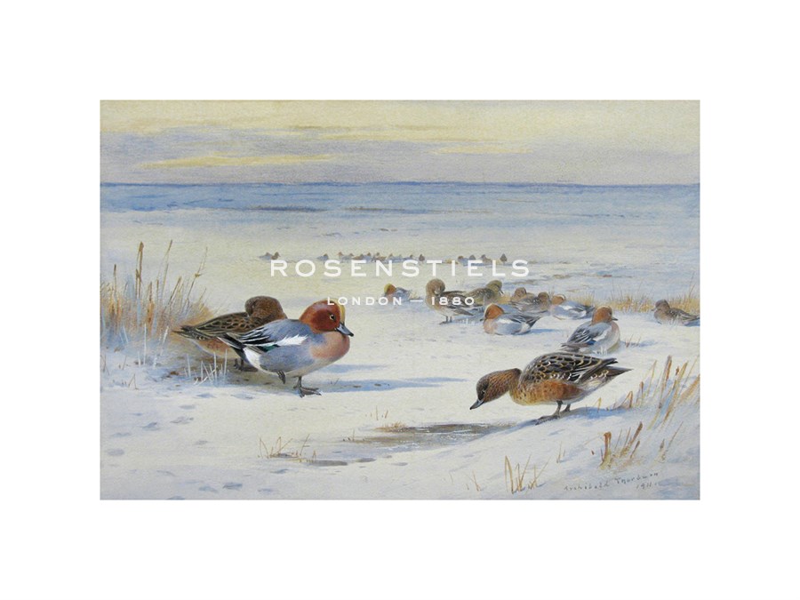 Archibald Thorburn Hand Numbered Limited Edition Print on Paper :"Widgeon in The Snow"