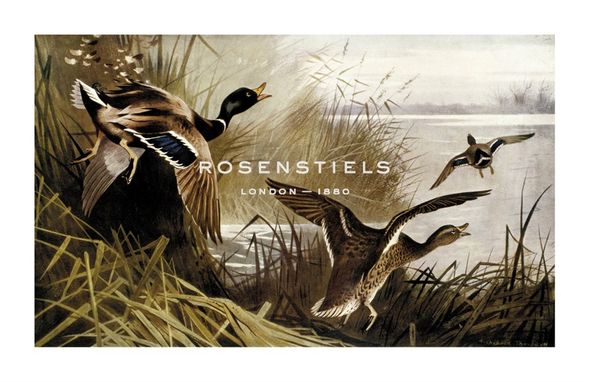 Archibald Thorburn Hand Numbered Limited Edition Print on Paper :"Wild Duck"