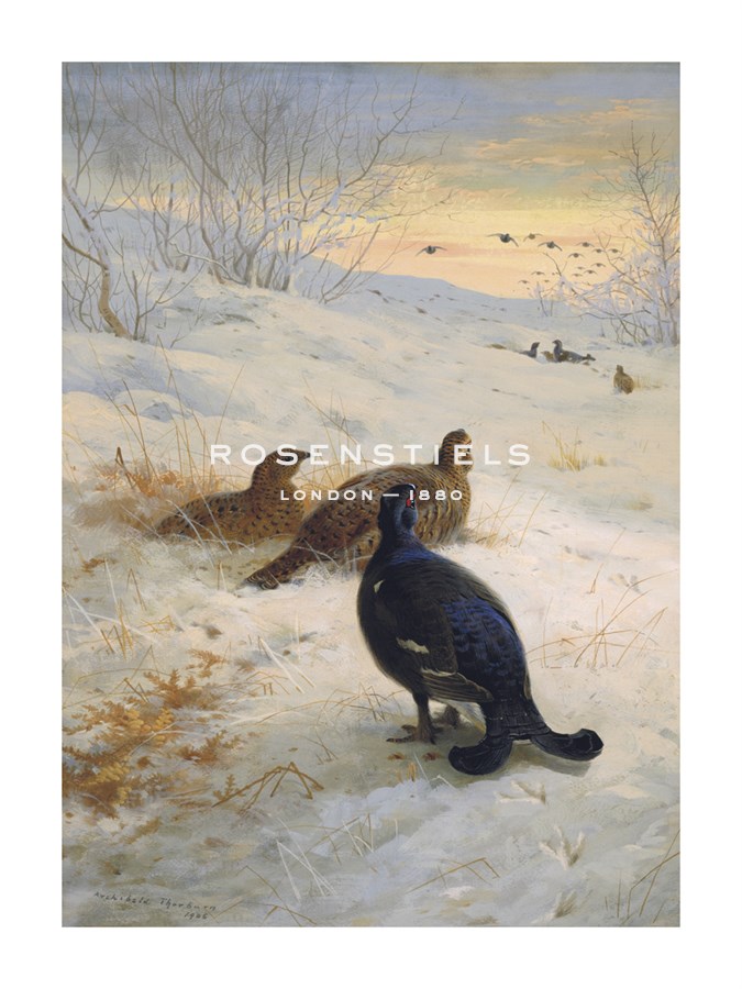 Archibald Thorburn Hand Numbered Limited Edition Print on Paper :"Winter in the Glen"