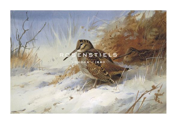 Archibald Thorburn Hand Numbered Limited Edition Print on Paper :"Winter Woodcocks"