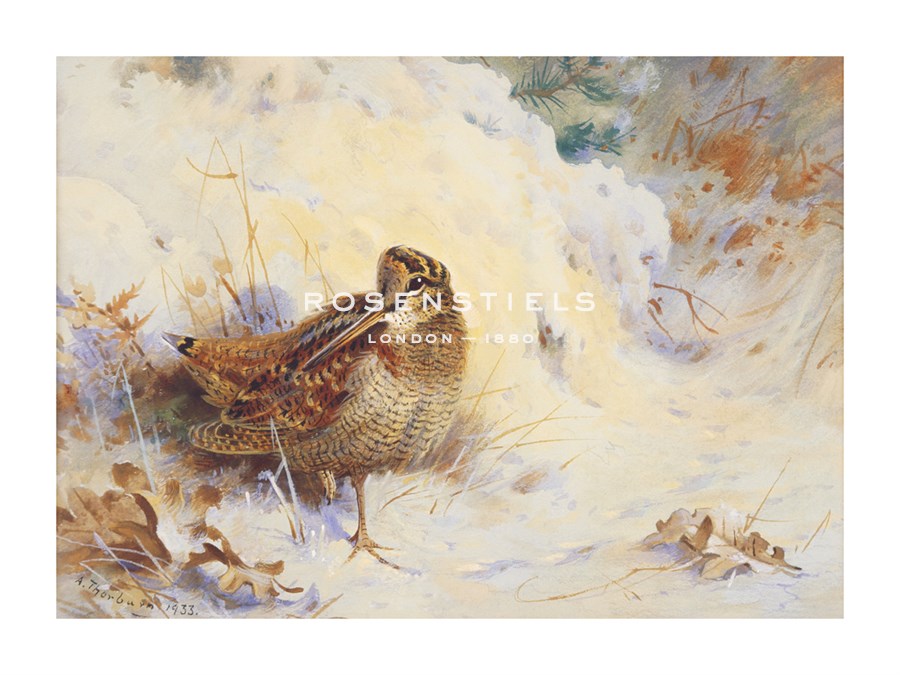 Archibald Thorburn Hand Numbered Limited Edition Print on Paper :"Woodcock in the Snow"